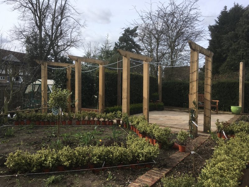 Pergolas & Greenhouses