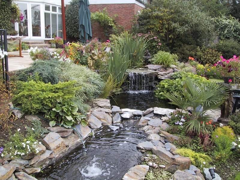 Ponds & Water Features