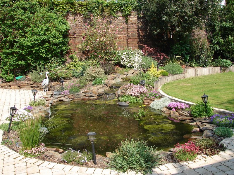 Ponds & Water Features