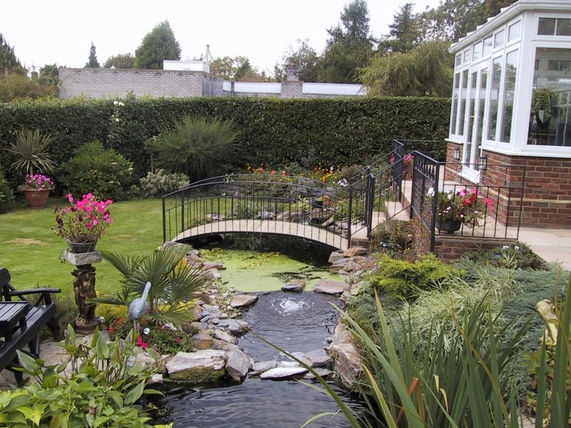 Ponds & Water Features