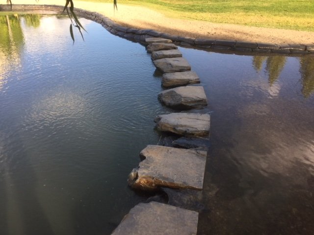 Ponds & Water Features